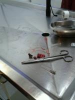 post-85853-0-06694400-1382164053_thumb.j