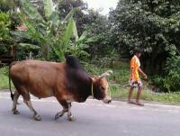 post-85853-0-25996600-1383012959_thumb.j