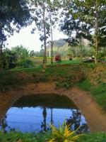 post-85853-0-82739700-1381542862_thumb.j