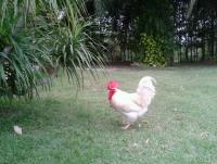 post-85853-0-93214800-1381301104_thumb.j