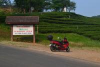 post-112020-0-52817400-1412244419_thumb.