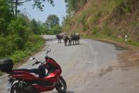 post-112020-0-85210500-1412244630_thumb.