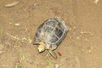 post-12069-0-12316200-1414745995_thumb.j