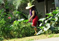 post-12069-0-12355700-1414409610_thumb.j