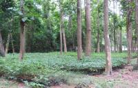 post-12069-0-56551100-1413895812_thumb.j