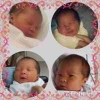 post-121278-0-54107300-1412227263_thumb.