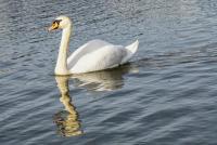 post-126208-0-51011000-1413842551_thumb.