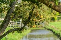 post-126208-0-75697600-1413842593_thumb.