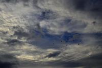 post-141067-0-31598600-1413451891_thumb.