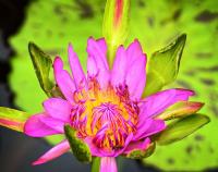 post-141067-0-35315700-1414242063_thumb.