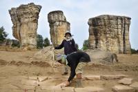 post-141067-0-39828600-1414286359_thumb.