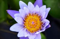 post-141067-0-52154900-1414242061_thumb.