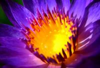 post-141067-0-52997000-1414242168_thumb.