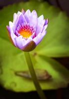 post-141067-0-54551100-1414242064_thumb.