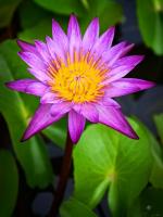 post-141067-0-55916800-1414242058_thumb.