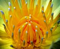 post-141067-0-58121900-1414242166_thumb.