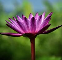 post-141067-0-84107900-1414242065_thumb.