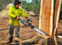 post-141067-0-92247000-1414665111_thumb.