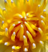 post-141067-0-94882800-1414242169_thumb.