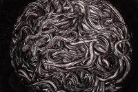 post-141091-0-57189400-1412141148_thumb.