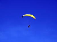 post-146250-0-18506200-1414646919_thumb.