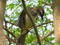 post-146250-0-33809000-1413532156_thumb.