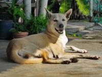 post-146250-0-40558100-1413532763_thumb.