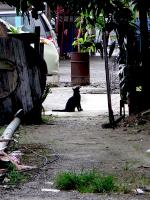 post-146250-0-79274500-1414646646_thumb.