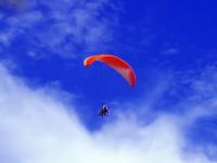 post-146250-0-82065200-1414646929_thumb.