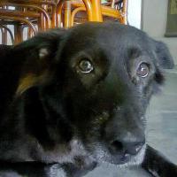 post-146250-0-87898300-1412750850_thumb.