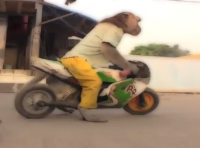 post-174911-0-52845500-1412207378_thumb.