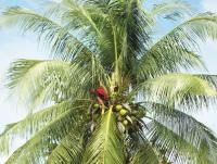 post-175700-0-09590800-1413872902_thumb.