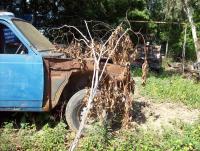 post-175700-0-68545200-1414742444_thumb.