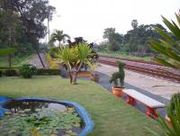 post-175700-0-87633000-1413624472_thumb.