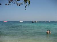 post-220659-0-77799800-1412238426_thumb.