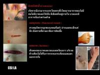 post-222355-0-72557500-1412772159_thumb.