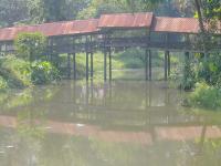 post-22541-0-26243300-1413920684_thumb.j