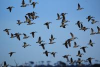 post-25665-0-94899800-1414501898_thumb.j