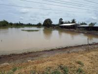 post-32351-0-01430300-1412142515_thumb.j