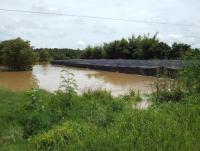 post-32351-0-04512100-1412142337_thumb.j