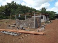 post-32351-0-20347200-1412827440_thumb.j