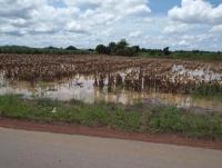 post-32351-0-28644500-1412142245_thumb.j