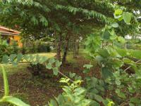 post-32351-0-51645300-1412663685_thumb.j