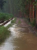 post-32351-0-67258900-1413022211_thumb.j