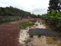 post-32351-0-85604400-1413022297_thumb.j