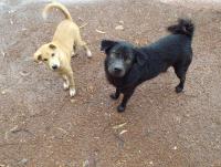 post-32351-0-96670700-1413022388_thumb.j