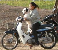 post-35489-0-46197700-1414228402_thumb.j