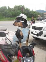 post-35489-0-47788400-1414229645_thumb.j