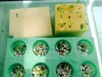 post-37242-0-71332400-1412149367_thumb.j