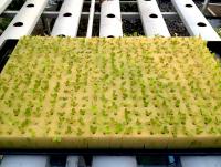 post-37242-0-81392500-1412149387_thumb.j